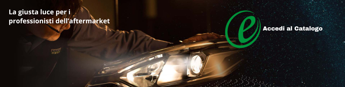 Portale B2B eMotori - Accedi al catalogo ricambi auto